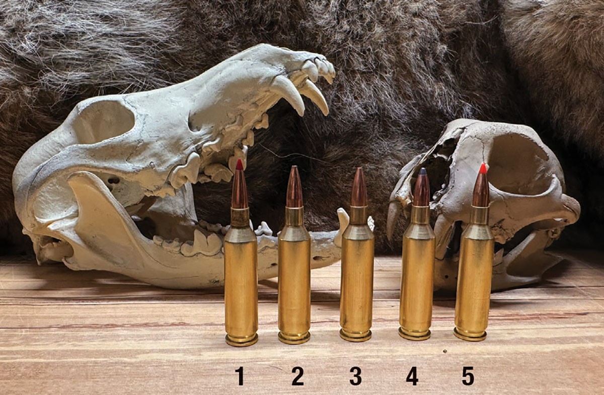 From left to right are a (1) Hornady 75-grain ELD-M, (2) Barnes-69 grain Match Burner, (3) Hornady 68-grain BTHP, (4) Nosler 60-grian Partition and a (5) Hornady 60-grain V-MAX.